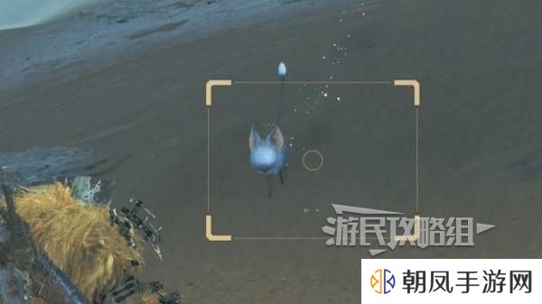 怪物猎人荒野沙野流星位置在哪   沙野流星位置