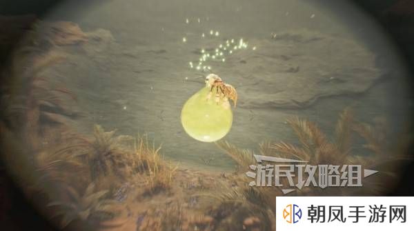 怪物猎人荒野大回复蜜虫位置在哪  大回复蜜虫捕获路线图片5
